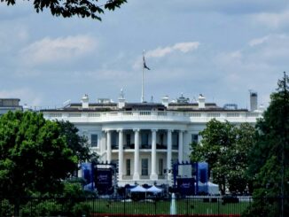 cancel it trump proposes maga rally after artists withdraw from freedom festival
