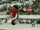 coco gauff s french open upset what it means for the tennis landscape