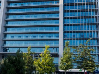 german court rejects google s ai search impacting tech landscape