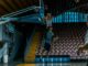 jalen brunson the gritty hero of the new york knicks nba journey