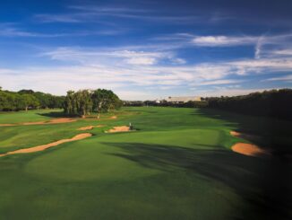 navigating friendships in finance lessons from a golf buddy s betrayal