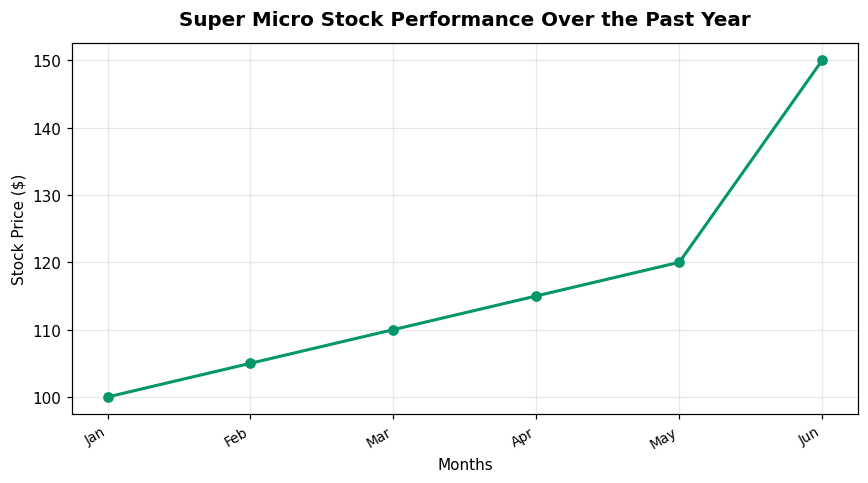 Super Micro Stock Performance Over the Past Year