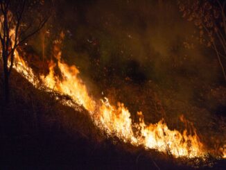 three wildland firefighters killed as dual state emergency declared on colorado utah border