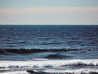 trump administration reverses course on ocean monitoring cuts