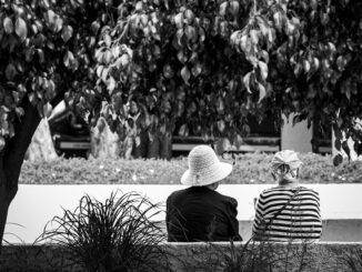 understanding the impact of potential social security benefit cuts