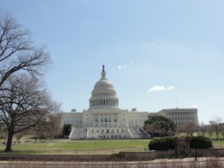 birthright ruling caps supreme court term that both checked and empowered trump