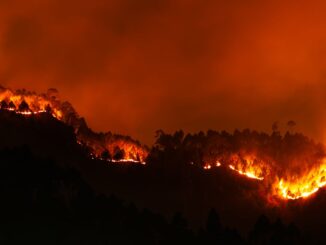 spain s deadliest wildfire in years highlights mediterranean s deepening fire crisis