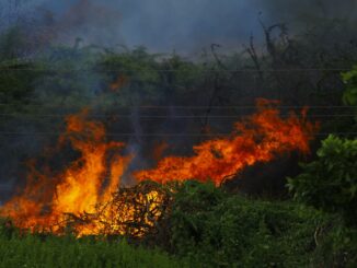 spains worst wildfire in a decade exposes the gaping gap between prevention and reality