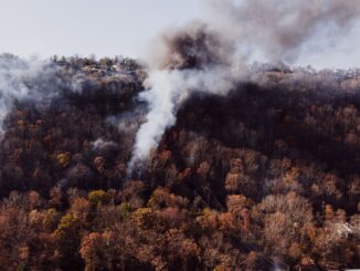 tens of thousands evacuated as wildfire engulfs france s cap ferret peninsula