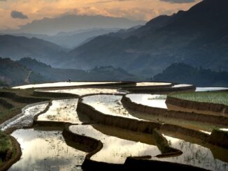 when your adviser says skip the withdrawal plan a 2 3 million bet on complexity