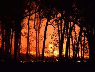 how wildfire smoke overtook regulated pollution as the leading prenatal threat