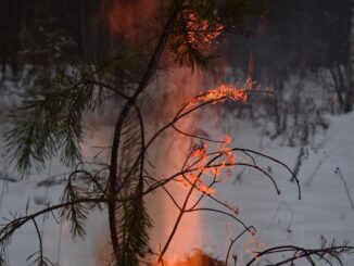 spokane fire suspect allegedly set old trails blaze after waiting for wind
